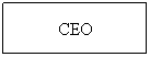Text Box: CEO
