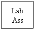 Text Box: Lab Ass
